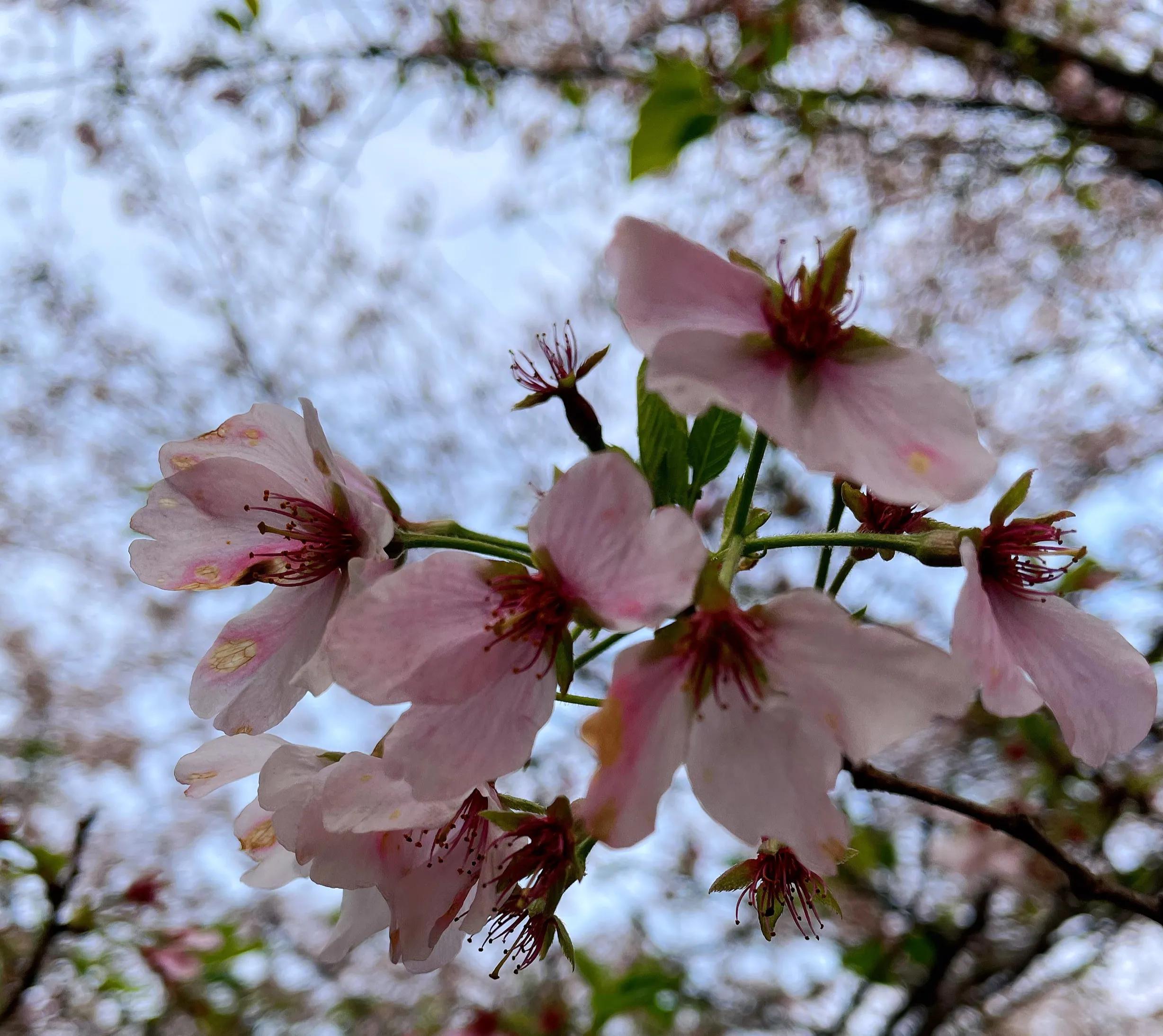 报了培训班要求退款的最好办法,培训机构没上完的课可以退款吗