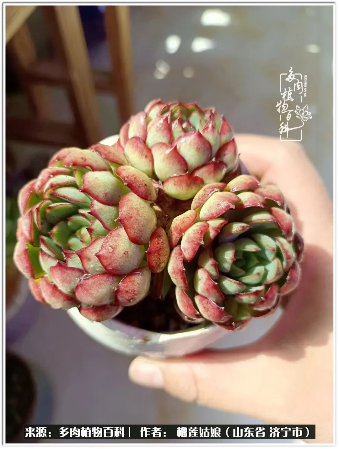 繁花似锦觅安宁淡如流水度一生,繁花似锦觅安宁淡云流水度人生