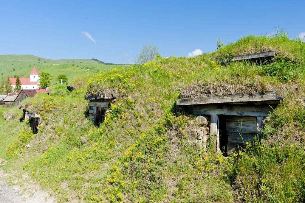 乡村规划休闲农业,鼓励利用四荒地发展休闲农业