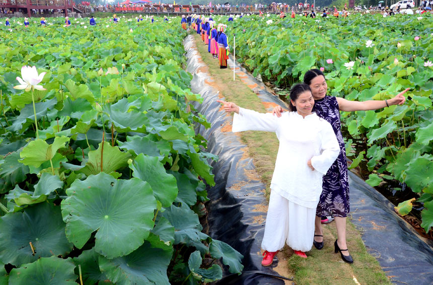 平川镇农旅融合助推乡村振兴提速,平桂区扶贫活动