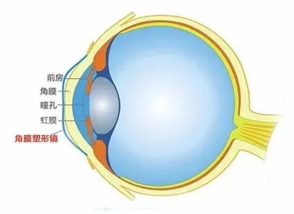 又一顶流被粉丝拉下神坛,又一正能量网红被央视痛批