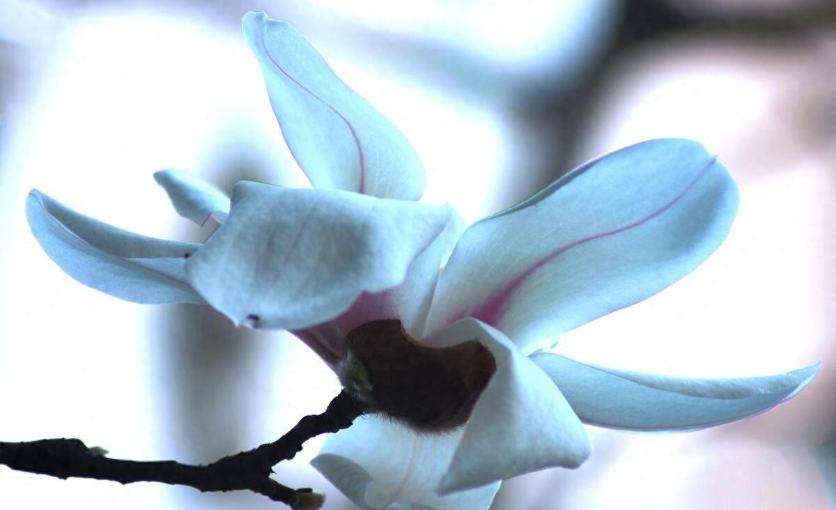 献给所有股票亏损的人,写给所有在中国亏损的散户