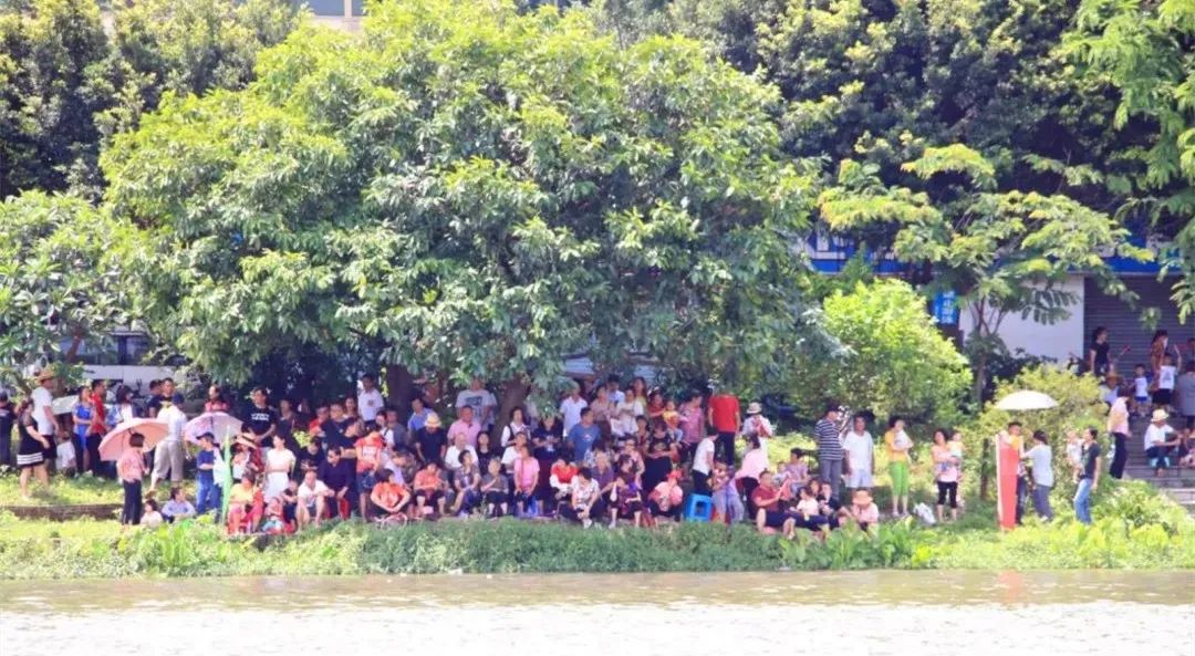 番禺各村龙船景点介绍图片,番禺十乡龙船会