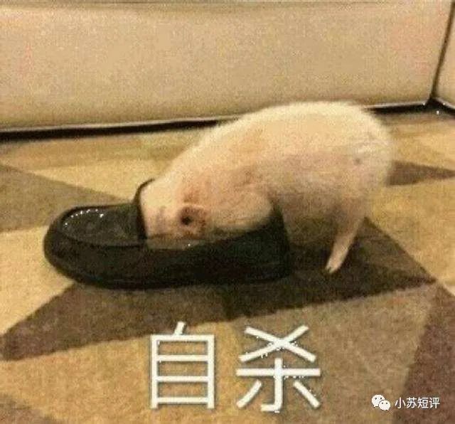 手机关机就没有行程码了吗,拔卡关机后会记录行程轨迹吗