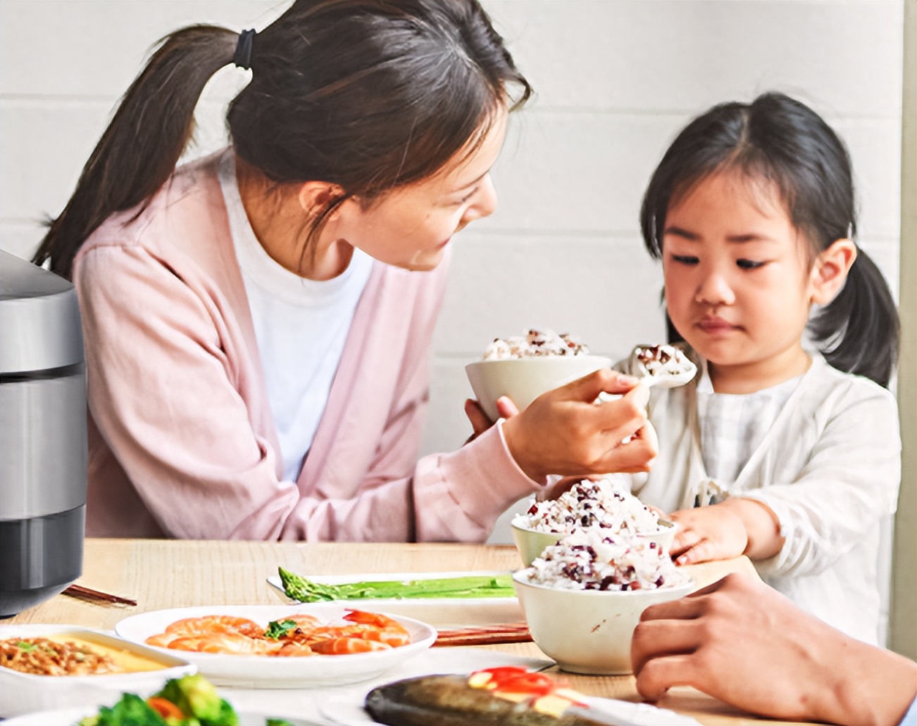 电饭煲贵的和便宜的有什么区别,100的电饭煲和500的电饭煲区别