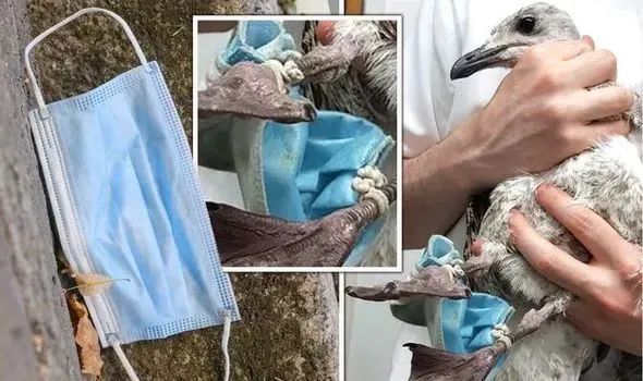 废弃口罩设计,废弃口罩改造成品高颜值