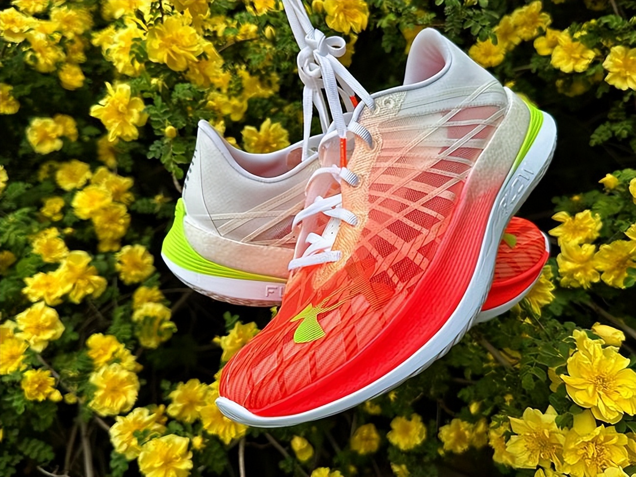 人生中的第一双碳板跑鞋怎么选,普通人也能驾驭的碳板跑鞋