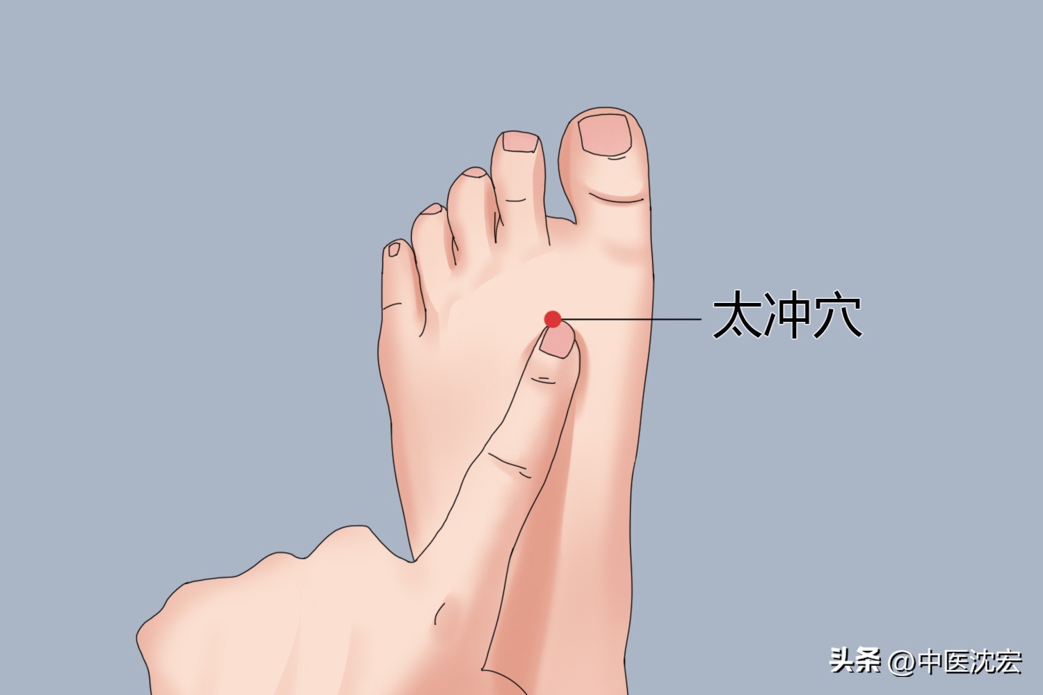 肝气一通百病无踪谁说的,肝气一通百病无踪什么意思