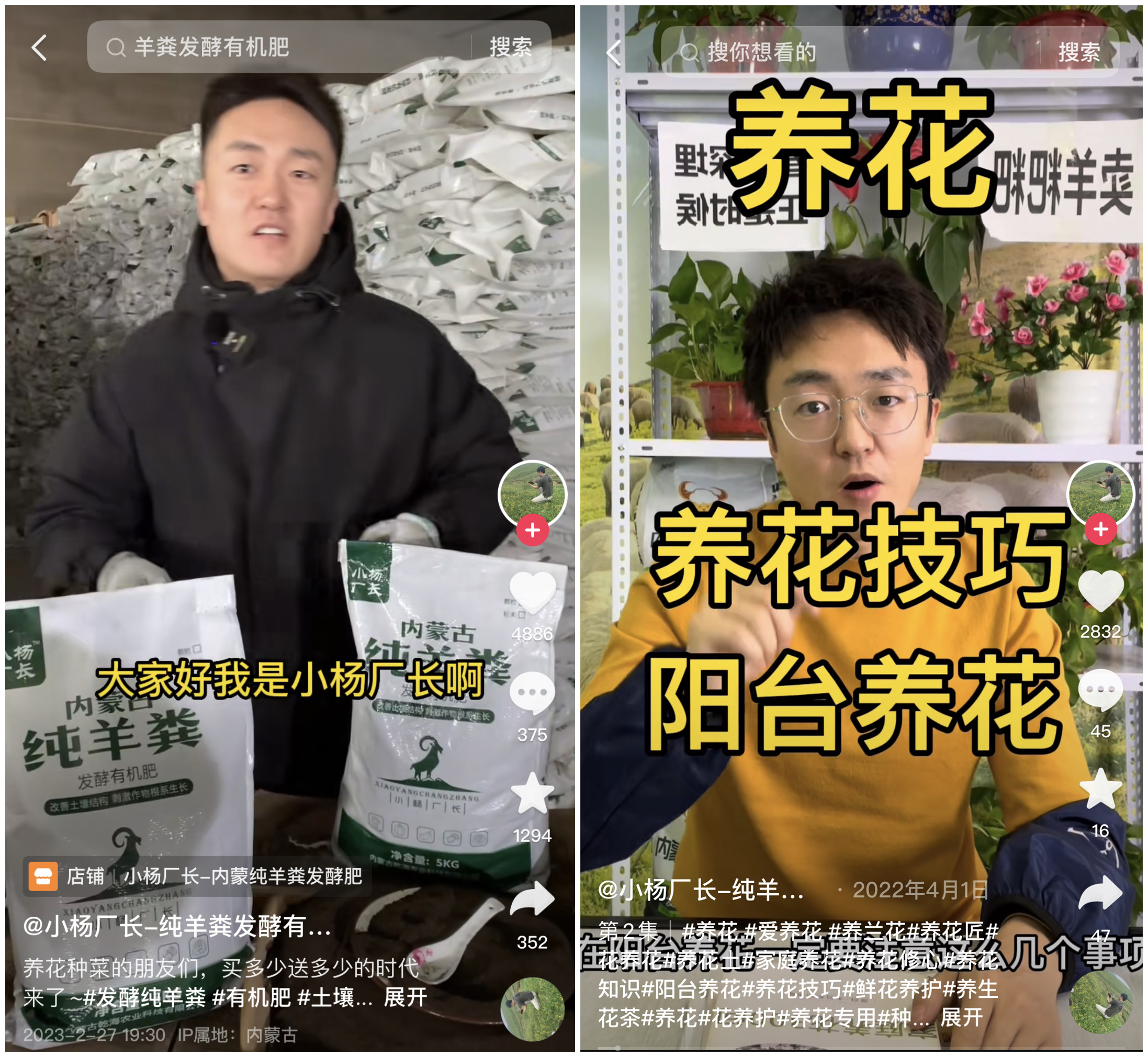 小杨厂长纯羊粪发酵有机肥直播,小杨厂长纯羊粪发酵有机肥