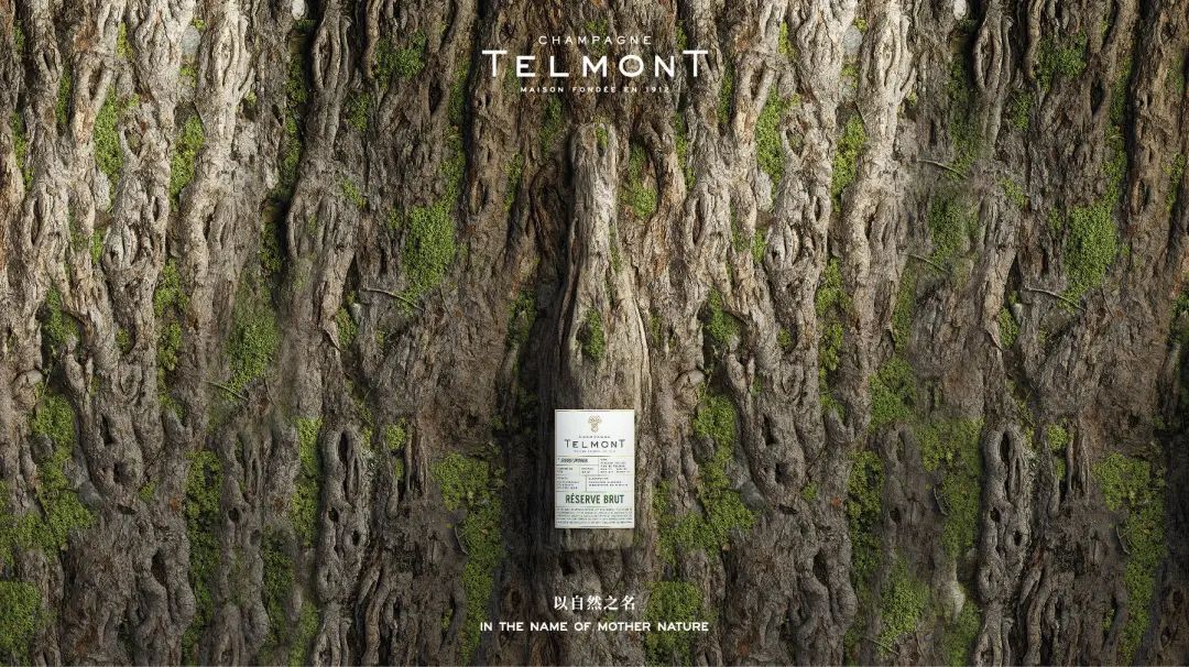 湾区羙好生活周报|能工巧艺,献浓情蜜意