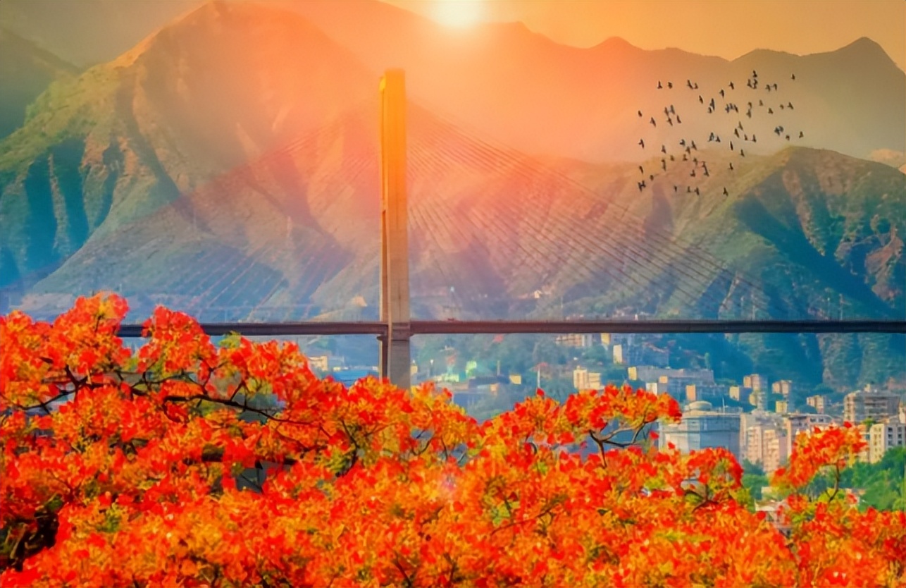 二等座最低264元，昆明⇌成都只需7小时！新成昆铁路12月26日全线贯通运营