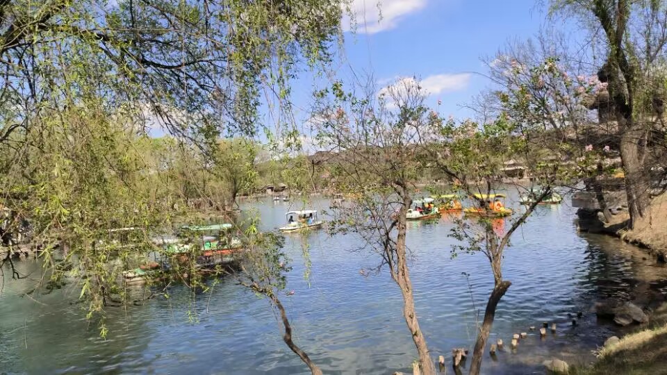 中国建设银行采购结果公告,中标建设银行数字化服务采购项目