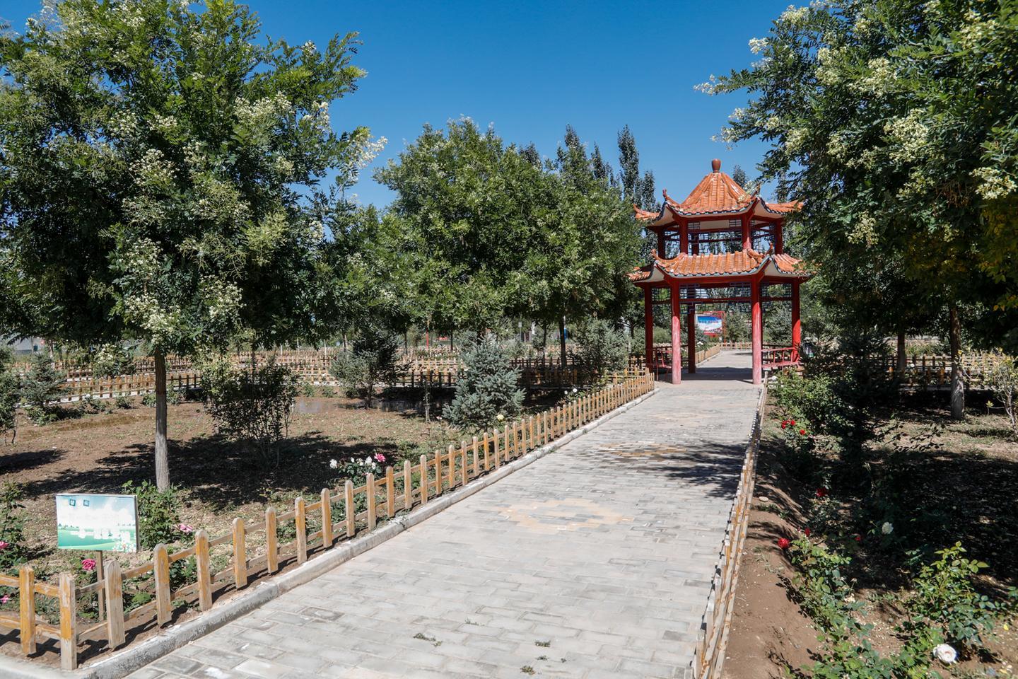 古浪一把手专访,泗洪县一把手访谈