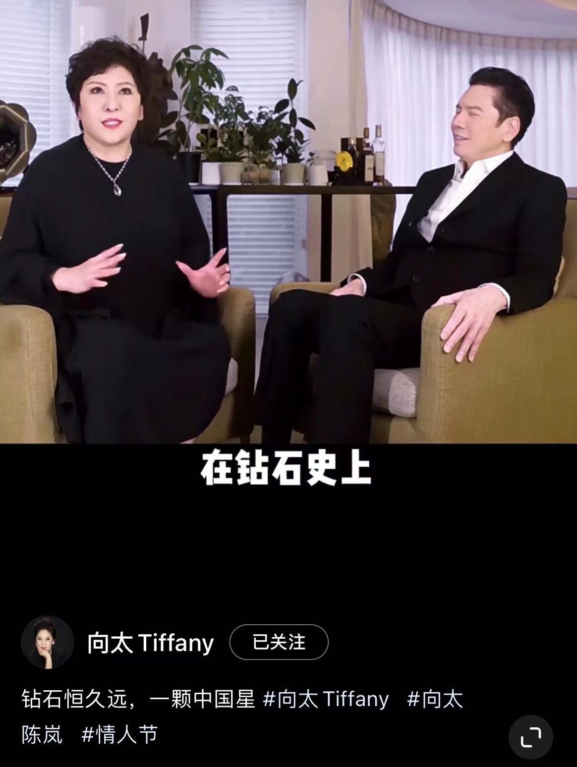 胡杏儿向太,向太胡杏儿