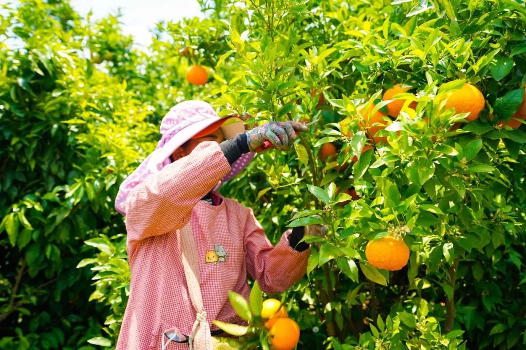 爱情的甜你尝过没,爱情的甜尝不了