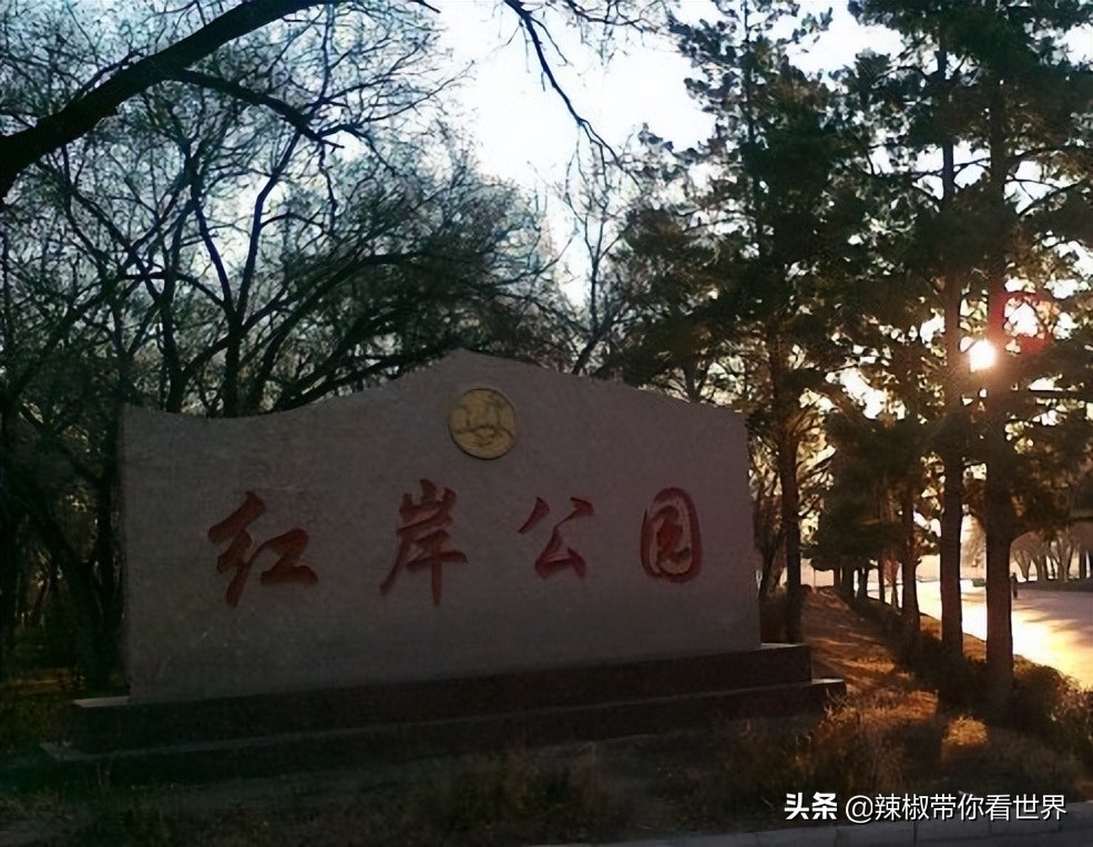 美在黑龙江：走进诗意山水之齐齐哈尔这里是世界大湿地中国鹤家乡