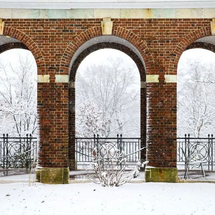 全美学习最刻苦的20所高校,美国最牛十大名校大学