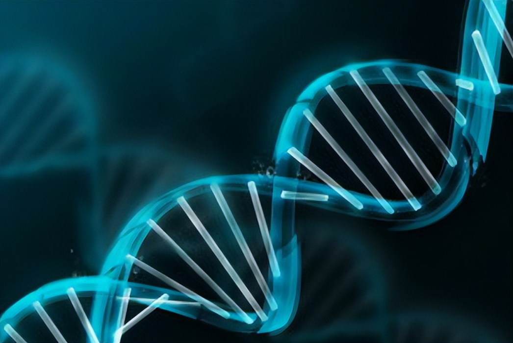 备孕很久却一直怀不上做什么检查,备孕很久了一直怀不上怎么回事