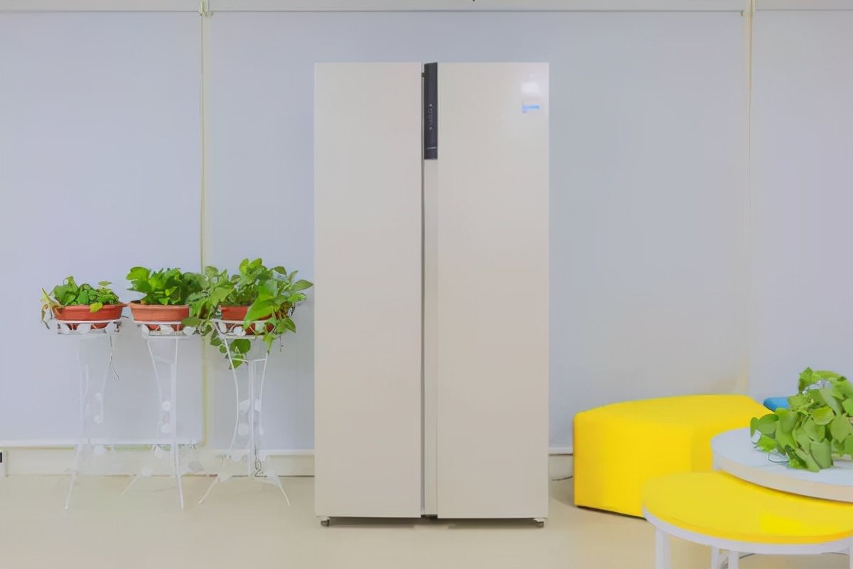 什么牌子的冰箱质量好价格实惠,什么牌子的冰箱性价比高质量好