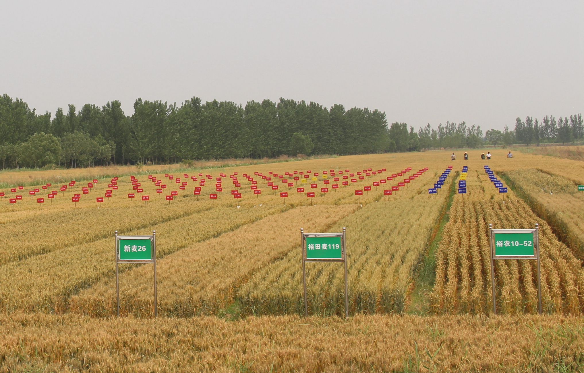 香港商报报道：连续9个月增速超200% 滨城食品制造业实力“出圈”