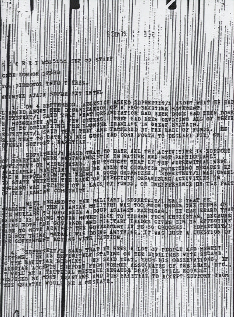 大陆北方网友，给我整不会了！论特工销毁文件的千层套路