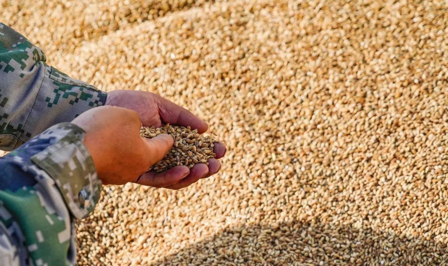 互助酒都,西部酒都