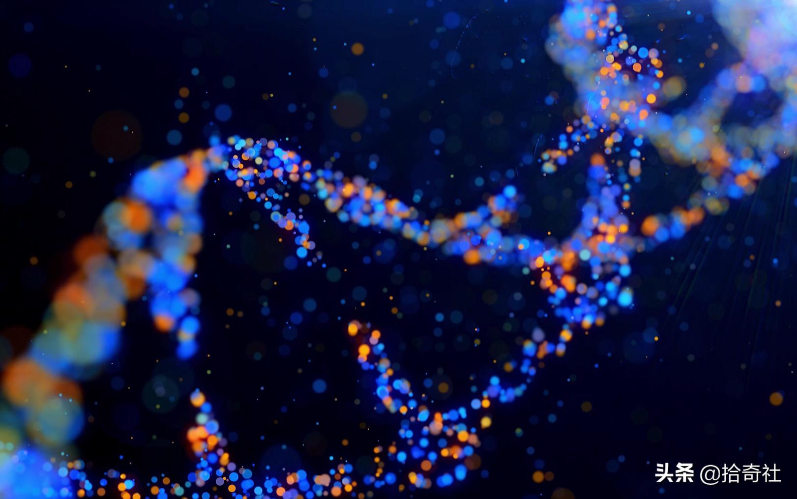 日本东京世田谷灭门案,日本东京世田谷灭门案最新消息