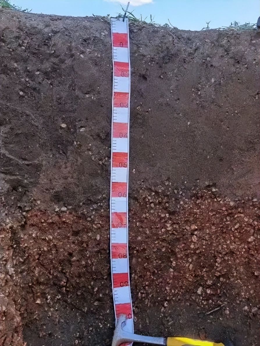 东北黑土退化的原因及措施,东北黑土退化的原因及治理措施