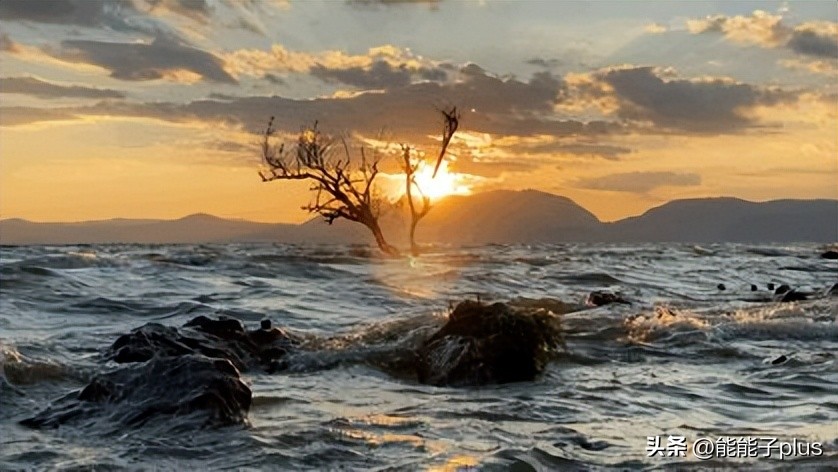 iphone12相机美颜怎么开,iphonex相机最佳设置