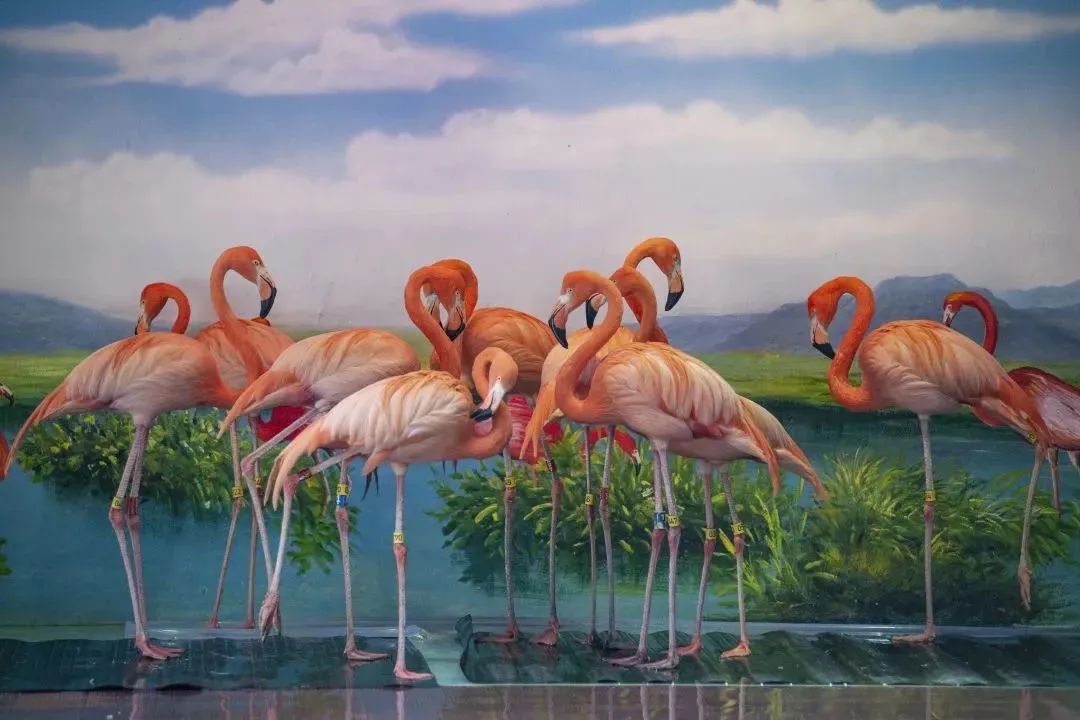 大无语事件！268元买了哈尔滨极地公园亲子票，被路人追着问了三条街！