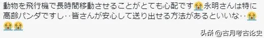 旅日大熊猫回国日本人反应,四只旅日大熊猫陆续归国
