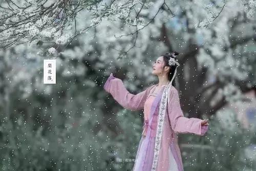 踏青看梨花的诗句,春游赏桃花七律诗