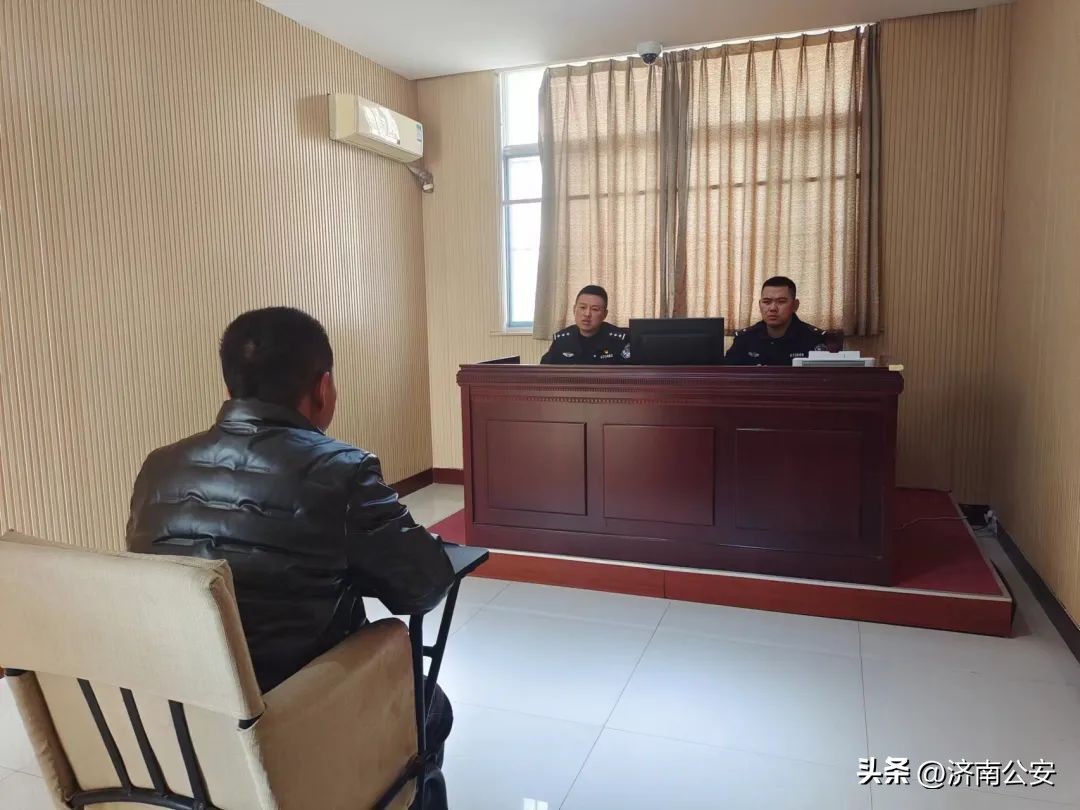 为什么偷鸽子那么多,为啥偷豪车