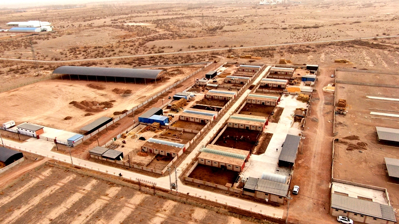 蓼泉镇乡村振兴,养殖产业园建设新模式