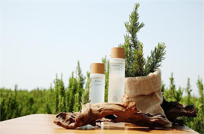 柏卡姿茶树纯露,柏卡姿纯露甘菊