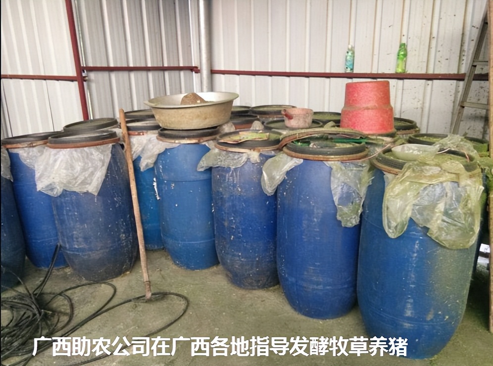 加强型活力99生酵剂—以高浓度乳酸菌，更好用的专业益生菌发酵剂