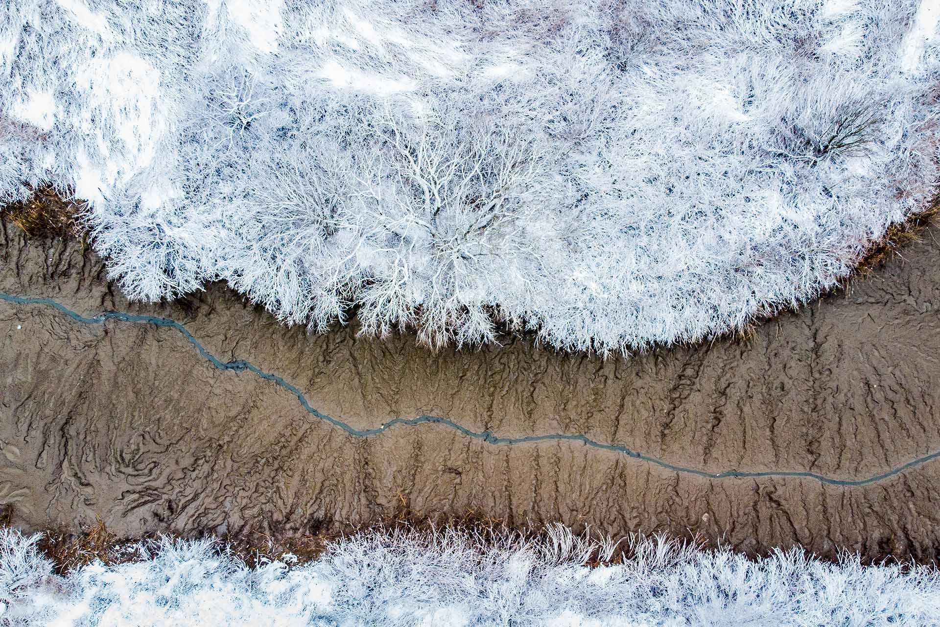 自然就是美,自然就是美歌曲