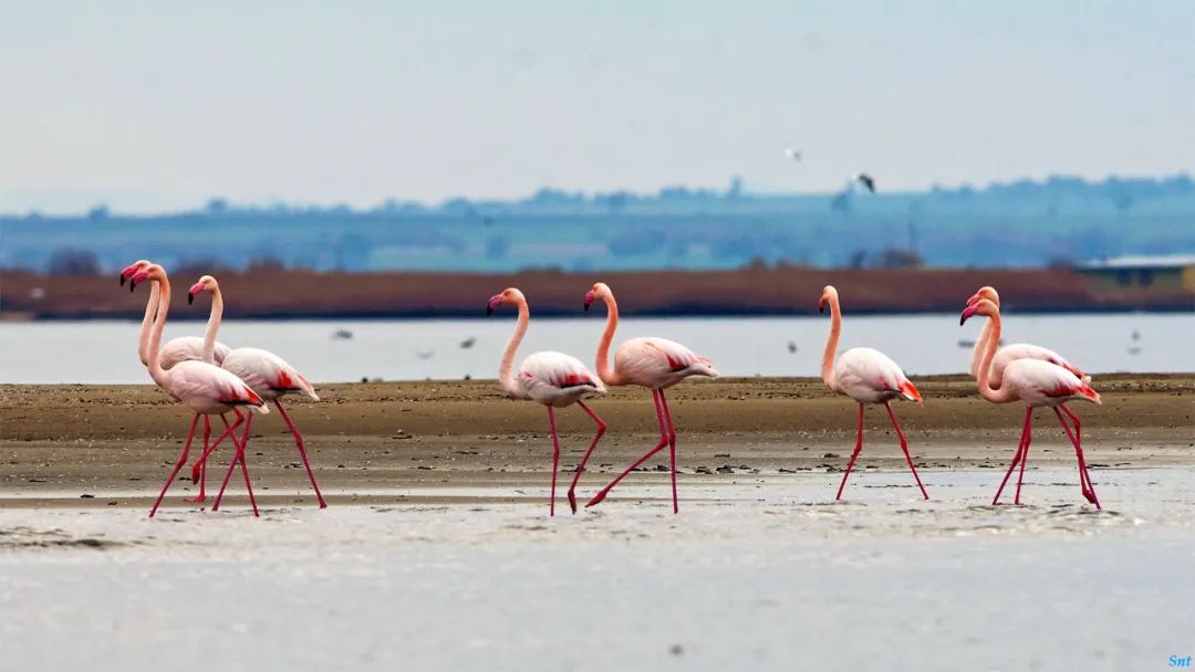父母对孩子哭穷式教育,父母老是对孩子哭穷是很危险的事
