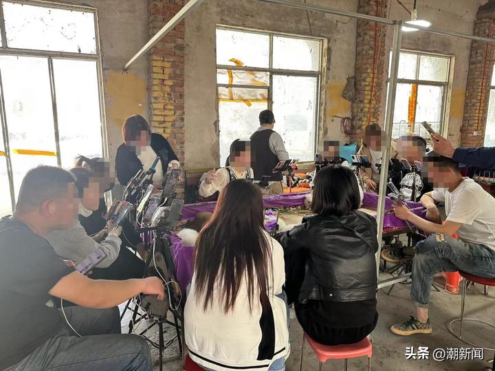 宠物线上代购主播的一出“好戏”背后圈套：谁演得好谁就赚得多