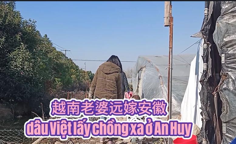 越南媳妇小邓,越南媳妇小邓嫁到中国
