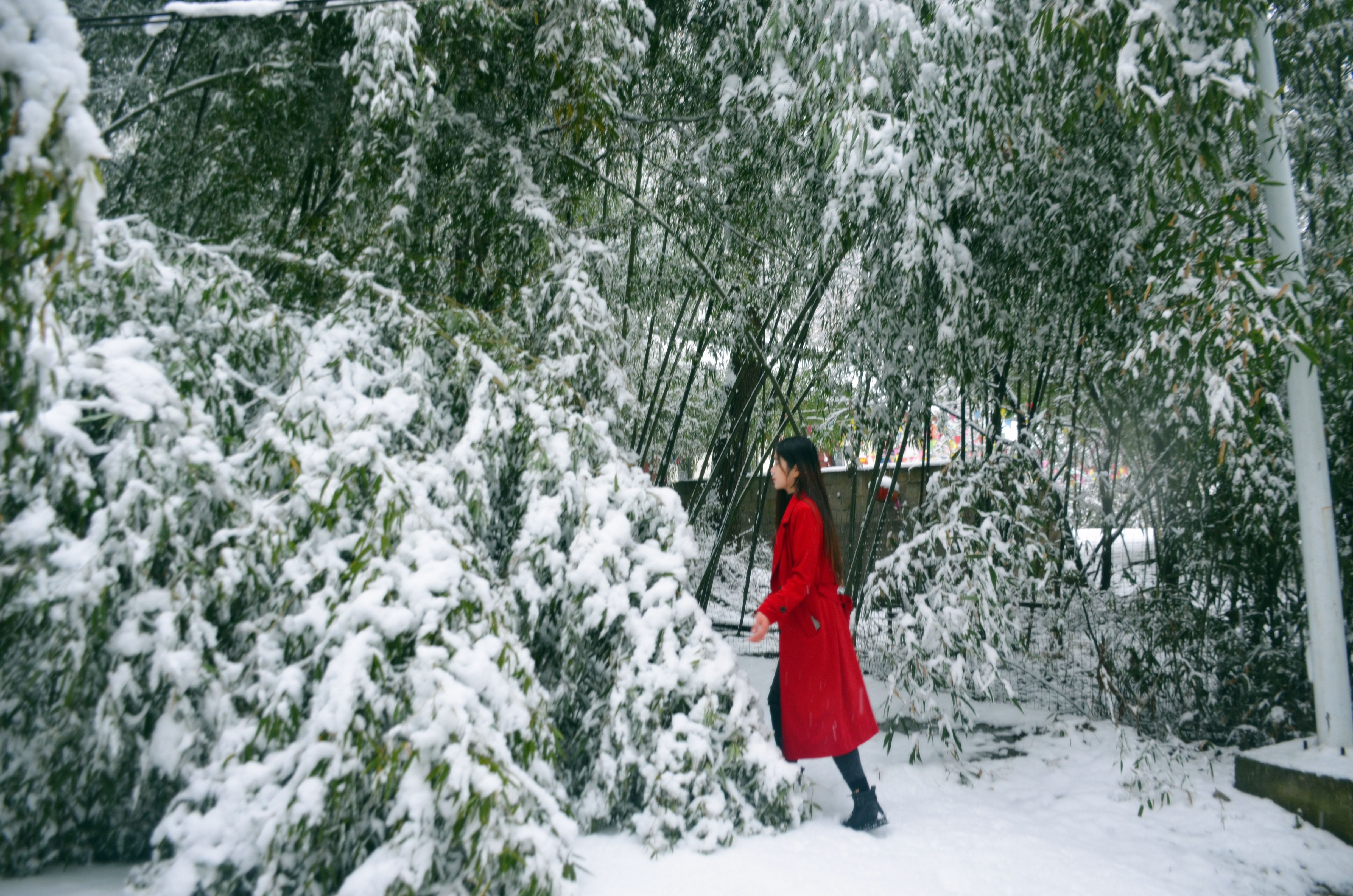 郑州向西自驾只需3个多小时，被网友誉为河南雪乡，门票半价