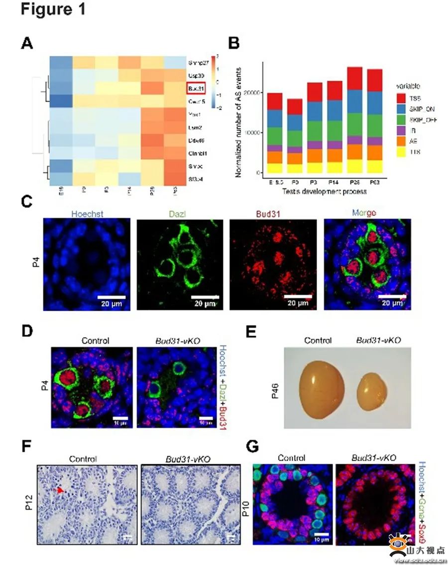 您的SDU学术一览，请及时签收！