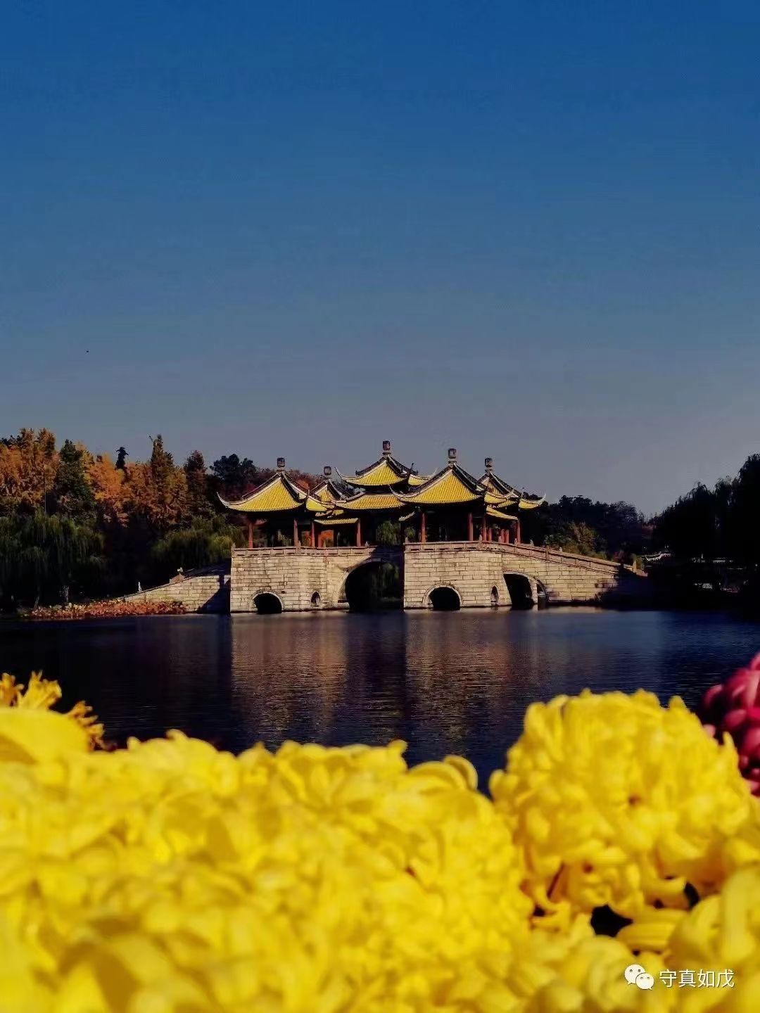 读反经有什么危害,看反经的危害