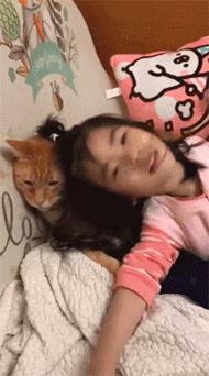 猫咪挑食只需一招,猫咪讨食小技巧