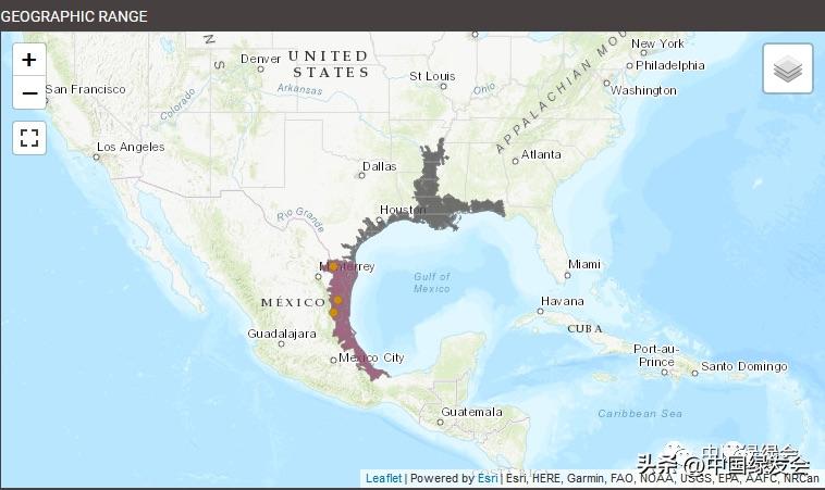 人民日报关于放生的规定,放生行为最新政策