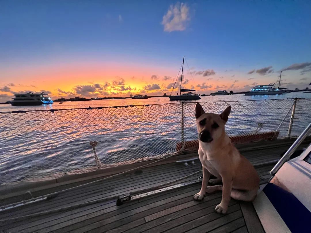 “真正远航的都是疯子！”但我无条件相信我的船长我的船