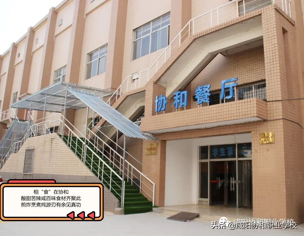 选择协和的“10大理由”