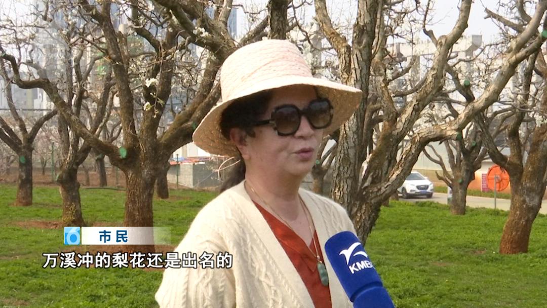 这里又一片花海！周六等你