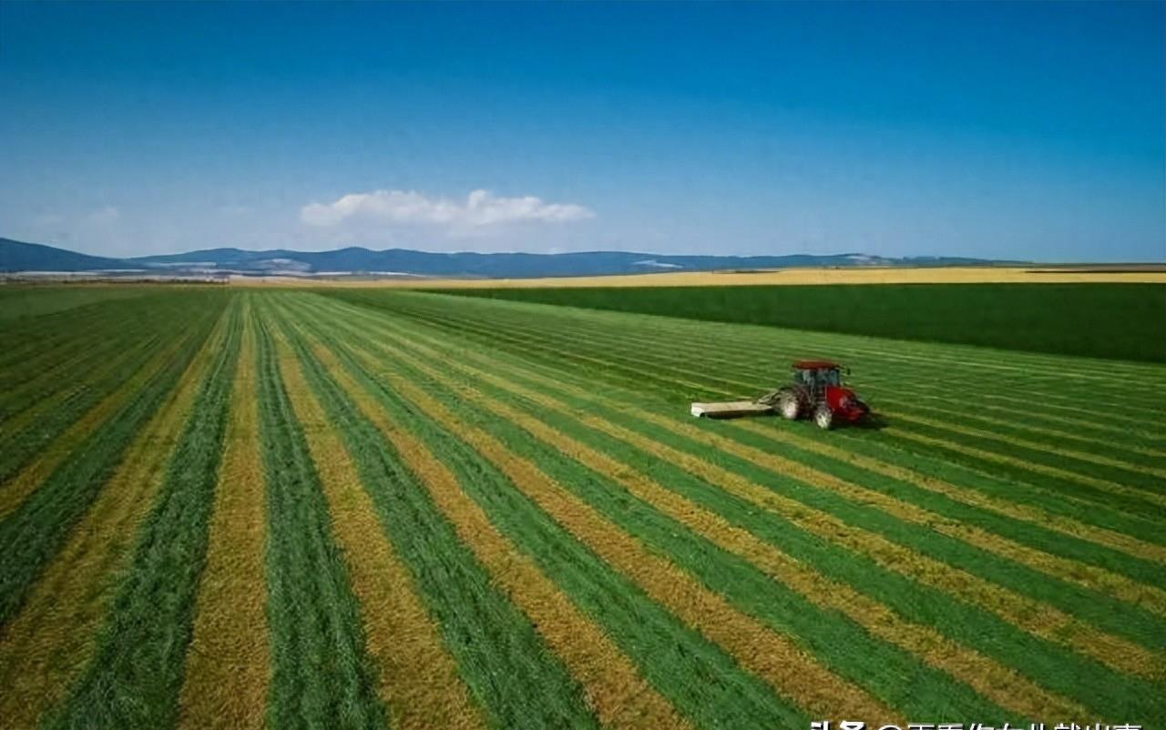 河南禁收花生相关责任人怎么处罚,河南禁收花生