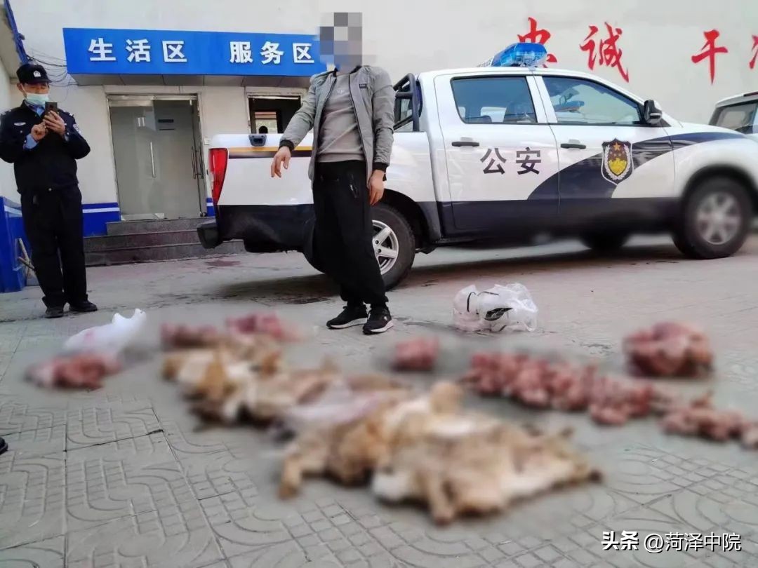 打击非法狩猎者,摩托细狗头灯